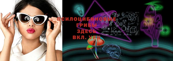 твердый Алзамай