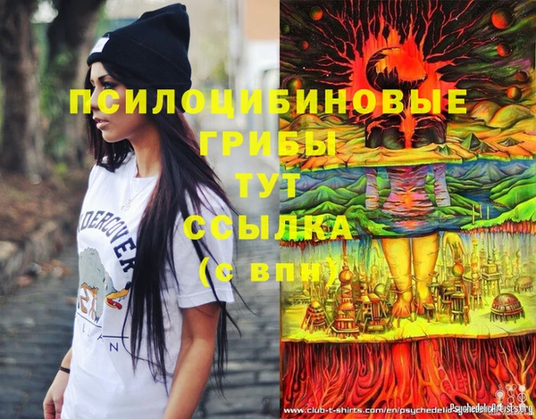 твердый Алзамай