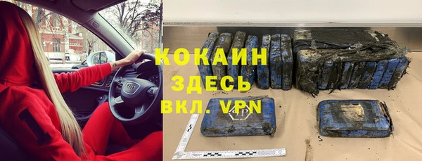 гидра Алексеевка