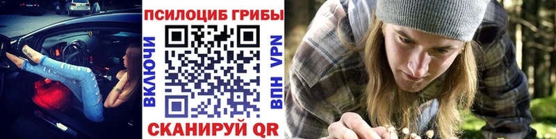 Псилоцибиновые грибы MAGIC MUSHROOMS  как найти наркотики  Поронайск 